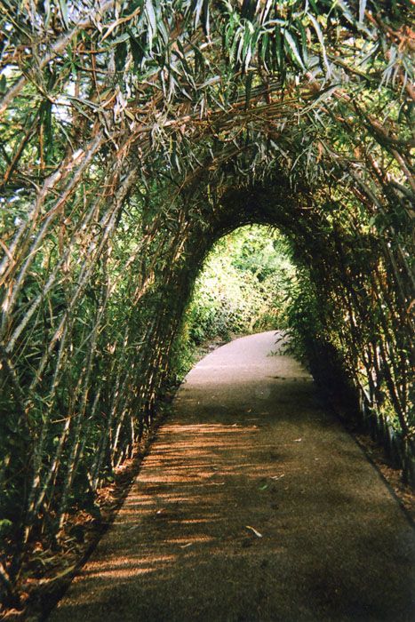 Nature’s Tunnel or Light and the End, Stratford, de Ellen Rostant.