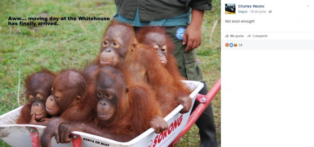 Alcalde de EE.UU. compara a los Obama con orangutanes - Obama-I-1024x482