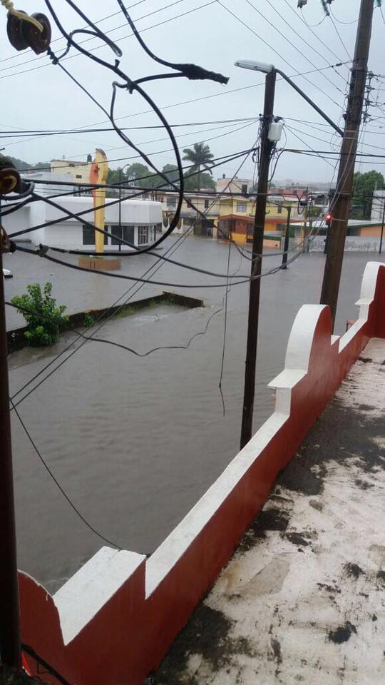 Video: Tamaulipas bajo el agua por fuertes lluvias - 14915460_10211060666376437_318616687924480289_n