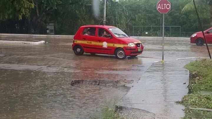 Video: Tamaulipas bajo el agua por fuertes lluvias - 14956007_10209640291556645_3569976106837067430_n