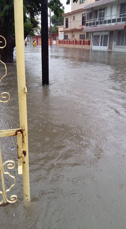 Video: Tamaulipas bajo el agua por fuertes lluvias - 14963127_1265973063459552_2614041669618772151_n-1
