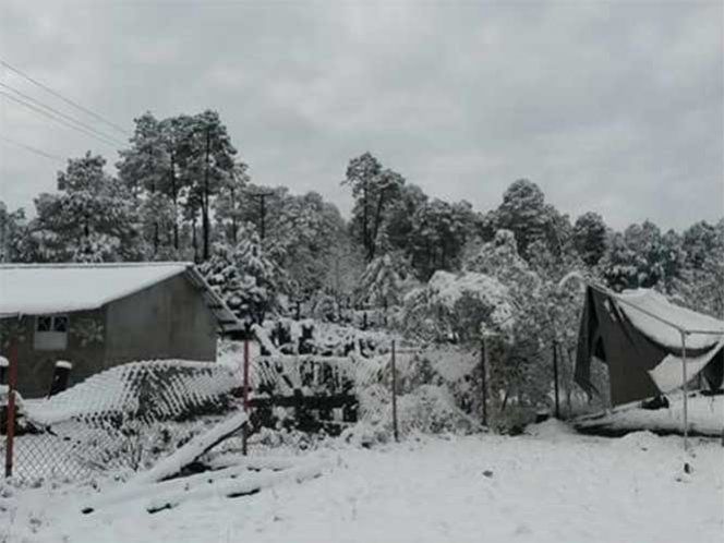 Declaran emergencia en ocho municipios de Durango tras nevada - nevada-durango