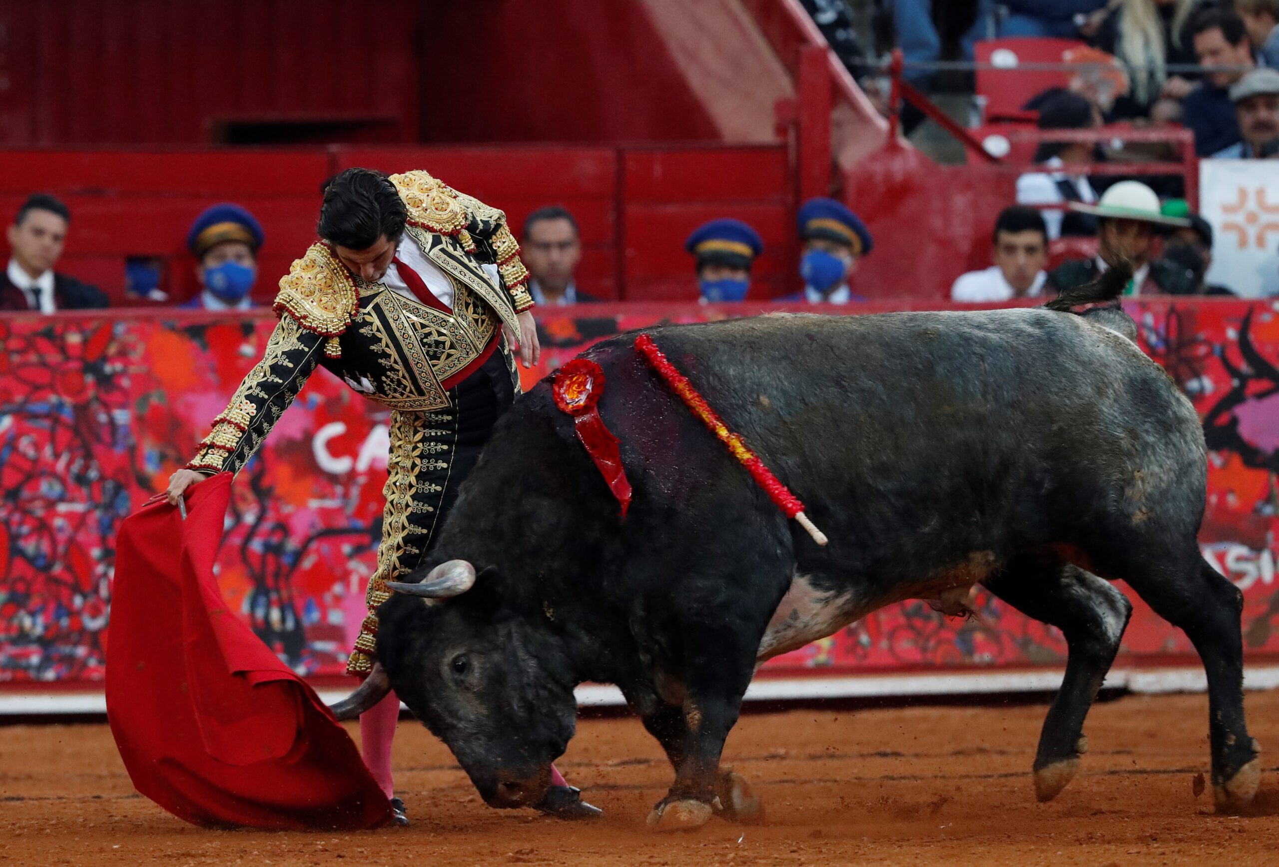 Juez Suspende Corridas De Toros En Dos Municipios De Puebla