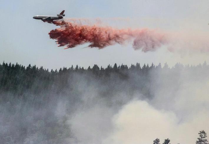 Avanza incendio en Yosemite y pone en riesgo el parque de sequoyas