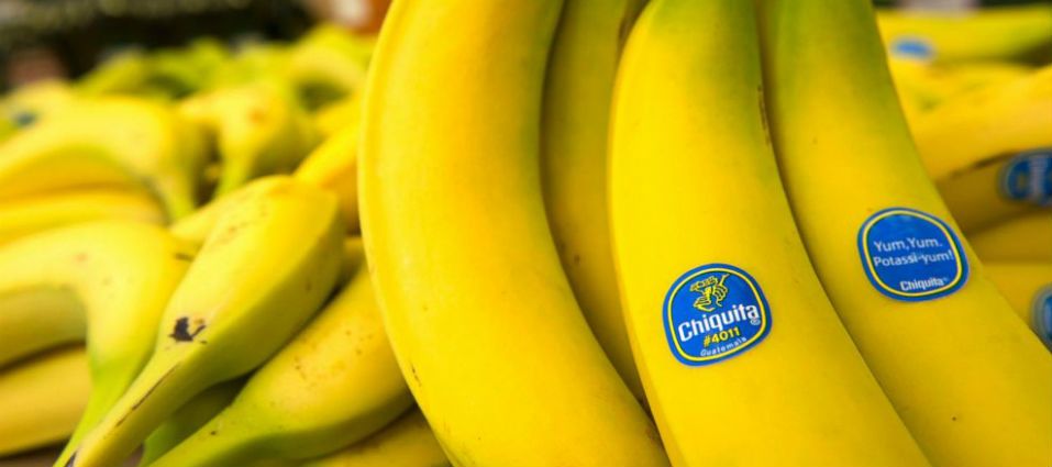 Se enfrentan empresas por la platanera Chiquita