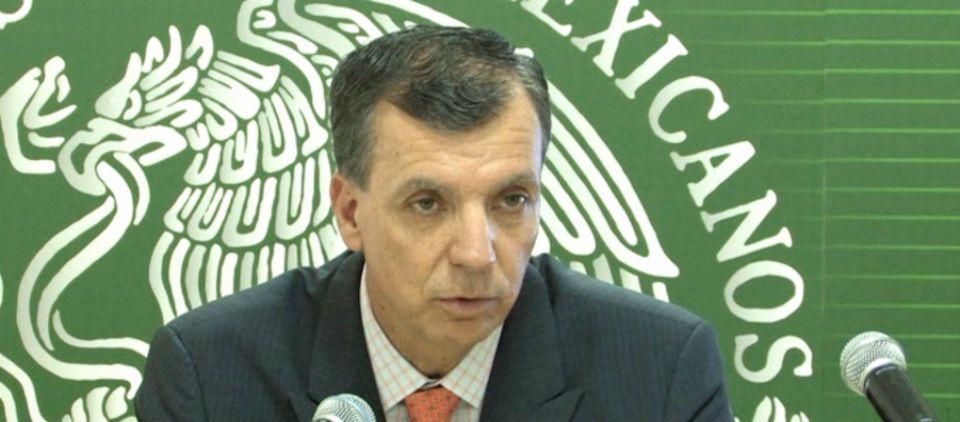 Profepa rescata 213 aves en peligro de extinción en Jalisco