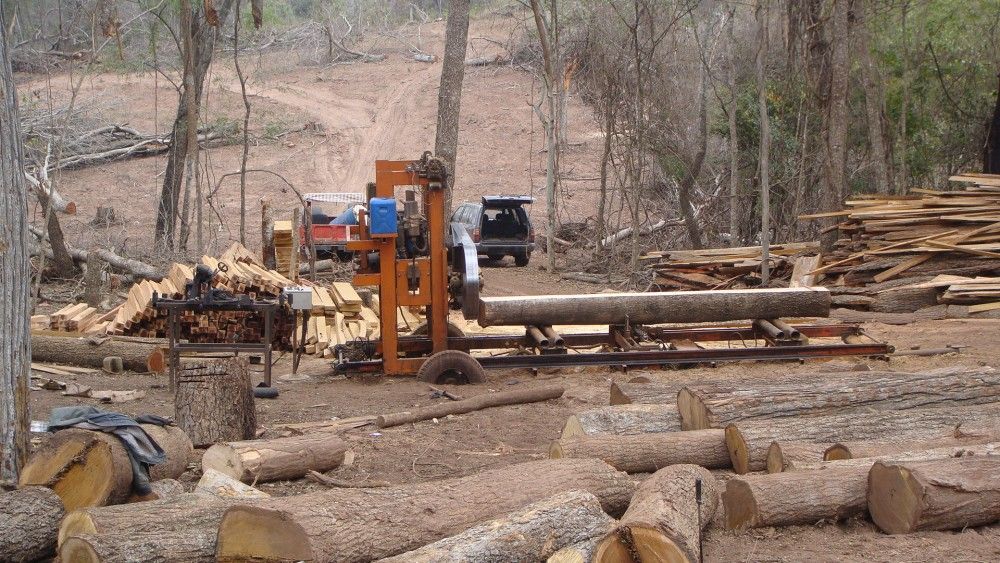 Clausuran cinco aserraderos irregulares en Chihuahua Clausuran cinco aserraderos irregulares en Chihuahua