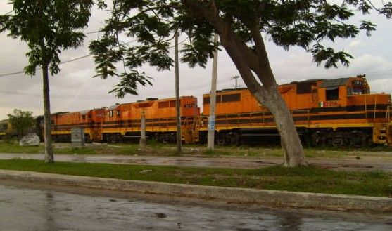 Rehabilitará SCT vías férreas Chiapas-Mayab