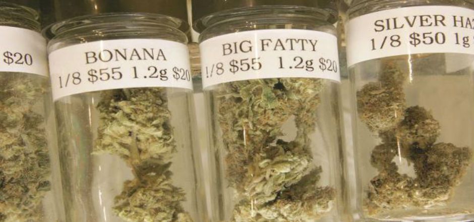 Legalización de mariguana será sometida a consulta en Jalisco Legalización de mariguana será sometida a consulta en Jalisco