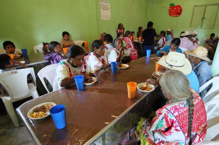 Reconoce FAO acciones de México contra el hambre Reconoce FAO acciones de México contra el hambre
