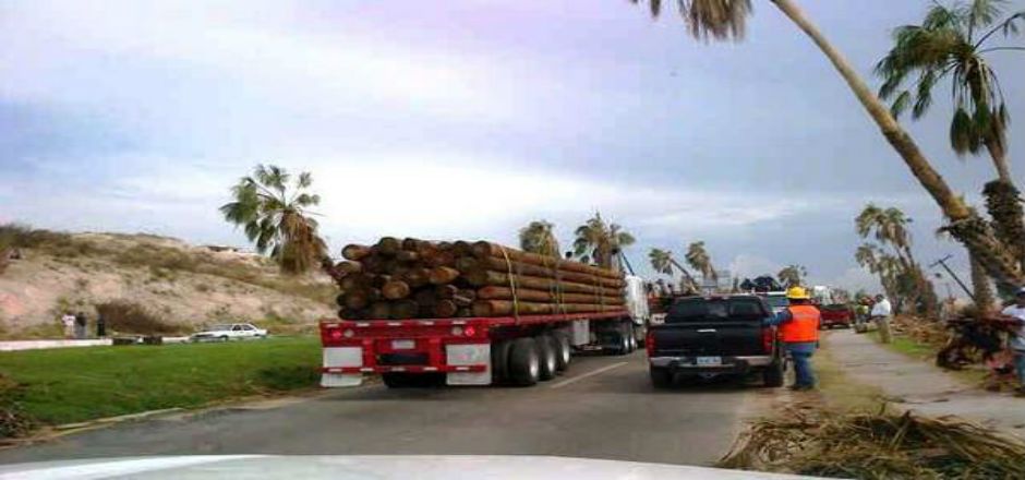 Arriban a BCS nuevos postes de luz Arriban a BCS nuevos postes de luz