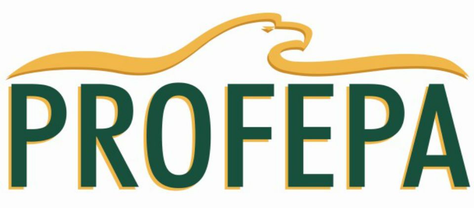 Profepa atiende muerte de puma en Durango