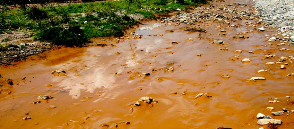 Sonora lanza “Salvemos al Río” para productores afectados por derrame