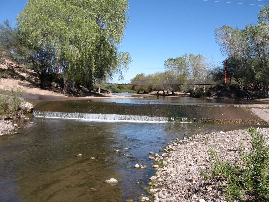 COFEPRIS buscará crear fondo para contingencias ambientales