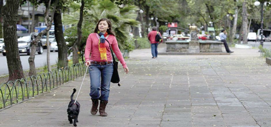 Jefe delegacional propone policía comunitaria en corredor Roma-Condesa