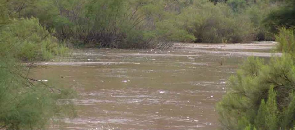 Arizona investigará derrame en Río San Pedro