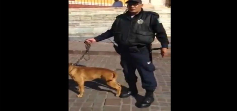 Aprehenden en Guanajuato a hombre que grabó detención