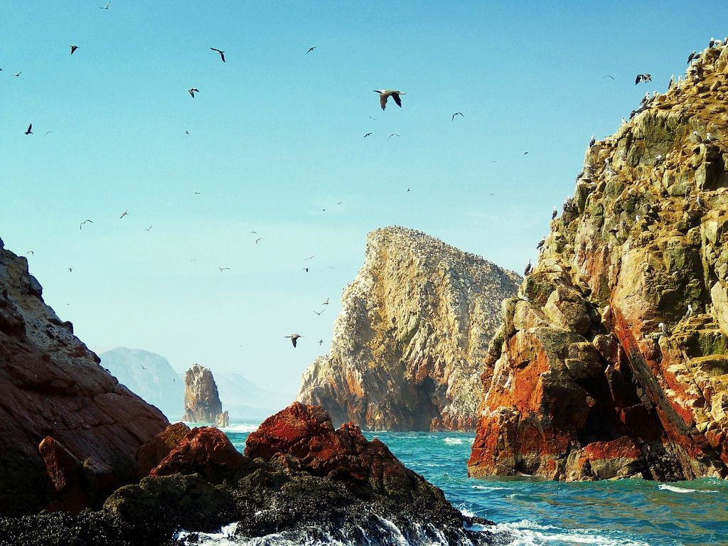 México será sede de la Cumbre de Biodiversidad 2016