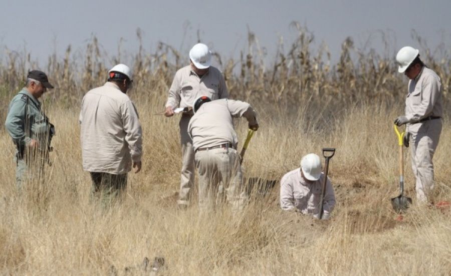 PROFEPA vigila recuperación de suelo por derrame en Altamira PROFEPA vigila recuperación de suelo por derrame en Altamira