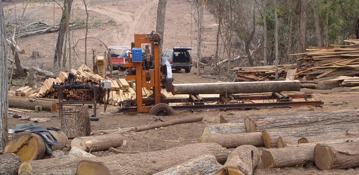 Clausura PROFEPA 30 aserraderos y canceló otros 304
