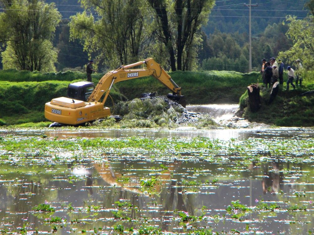 Declaran emergencia en sector agropecuario de BCS Declaran emergencia en sector agropecuario de BCS