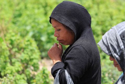 Ellos no mataron a mi hijo: madre de niño Tehuatlíe