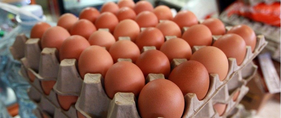 México es el principal consumidor de huevo en el mundo México es el principal consumidor de huevo en el mundo