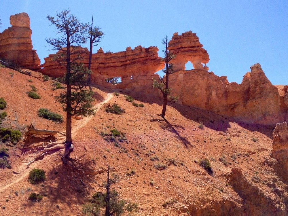 Erosión en 20 por ciento de la superficie de México: Conafor