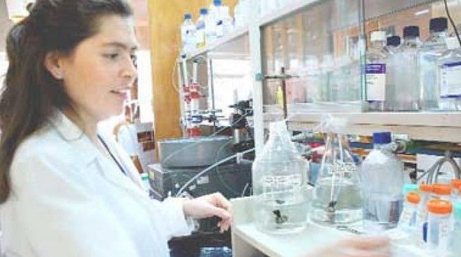 Científica mexicana será galardonada en Canadá Científica mexicana será galardonada en Canadá
