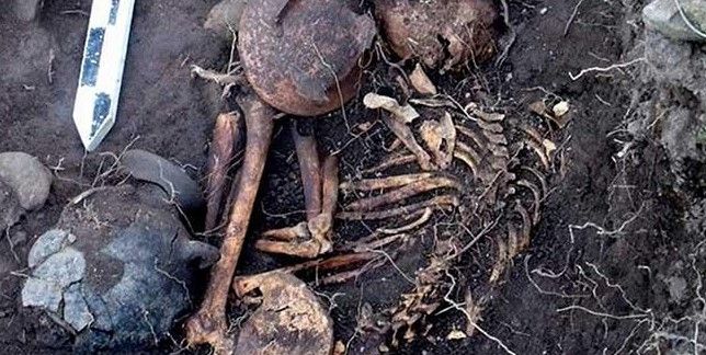 Encuentran restos de mamut en Durango Encuentran restos de mamut en Durango
