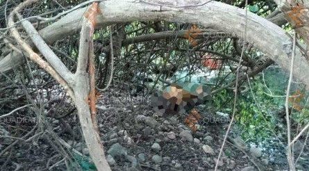 Encuentran cadáver de mujer en Lázaro Cárdenas Encuentran cadáver de mujer en Lázaro Cárdenas