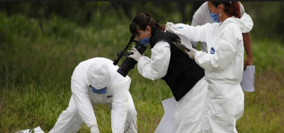 Localizan 4 cadáveres calcinados cerca de Zamora Localizan 4 cadáveres calcinados cerca de Zamora
