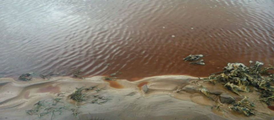 Otorgan 15 mil pesos a cada familia afectada por contaminación en Río Sonora Otorgan 15 mil pesos a cada familia afectada por contaminación en Río Sonora