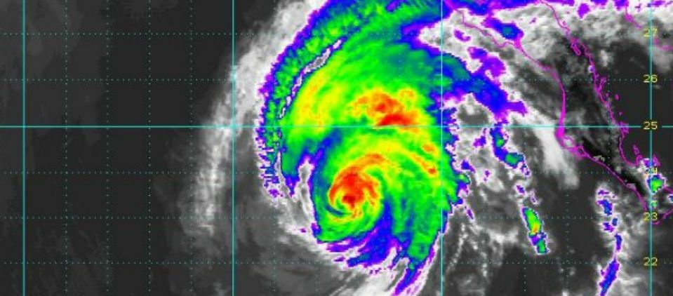 Simon ya es categoría I Simon ya es categoría I