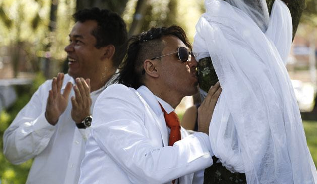 Ambientalista se casa con un árbol Ambientalista se casa con un árbol