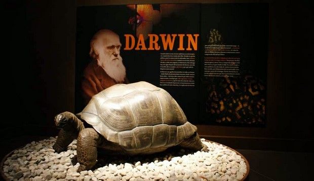 Publican manuscritos de Darwin en internet Publican manuscritos de Darwin en internet