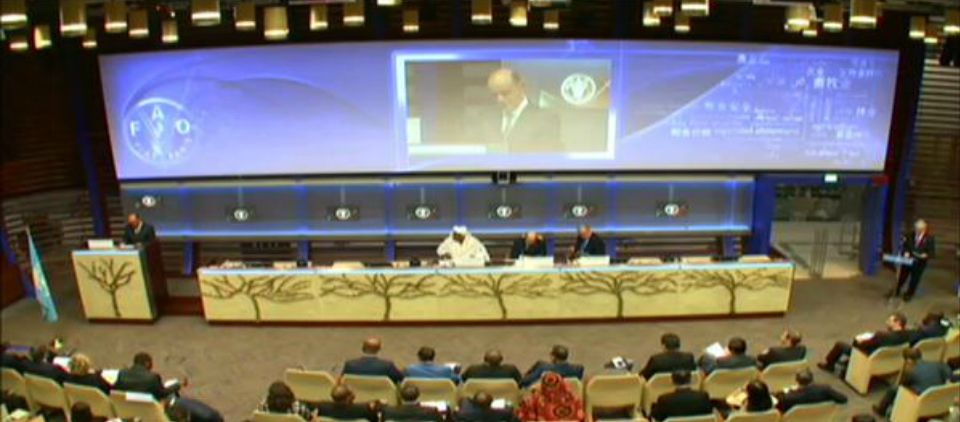 Reconoce FAO a México por lucha contra el hambre