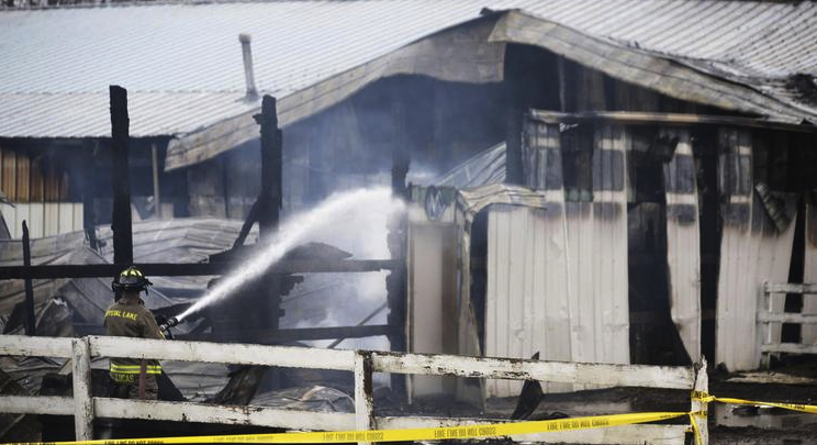 Mueren 32 caballos en incendio Mueren 32 caballos en incendio