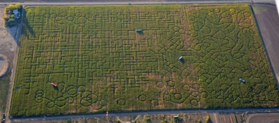 Un laberinto que hace que sus usuarios llamen al 911 Un laberinto que hace que sus usuarios llamen al 911