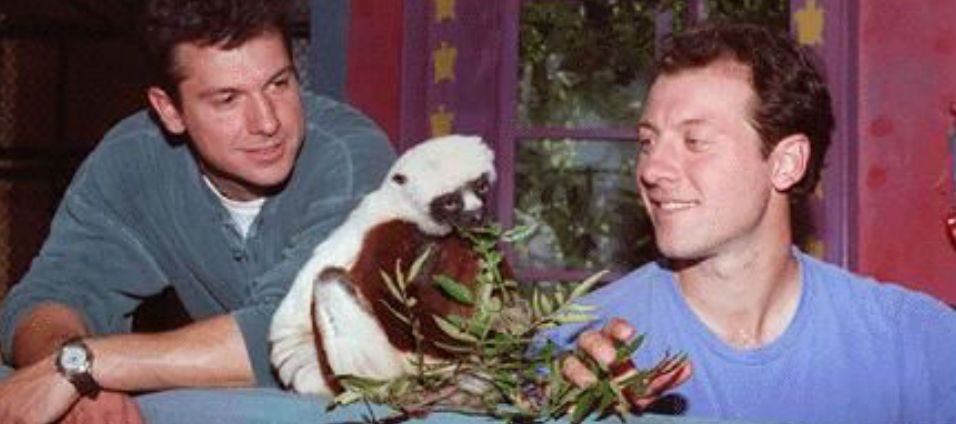 Muere lémur Zoboomafoo Muere lémur Zoboomafoo