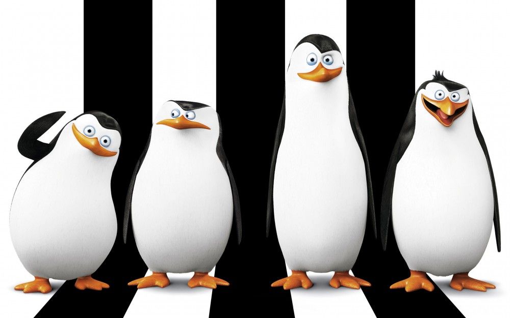 Pingüinos de Madagascar están listos para su propia película