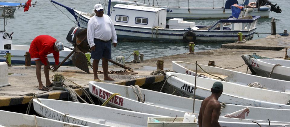 Se destinarán 141 millones para la pesca en Veracruz