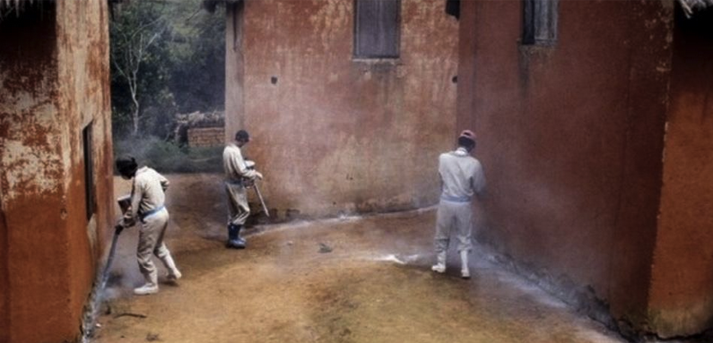 La peste cobra 40 vidas en Madagascar La peste cobra 40 vidas en Madagascar