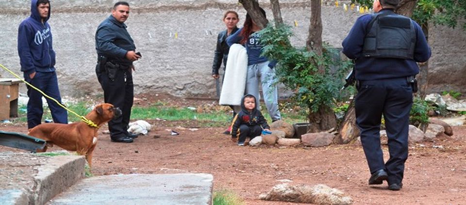 Policía mata a tiros a perros de su vecino