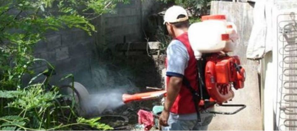 Reportan 306 nuevos casos de dengue en BCS