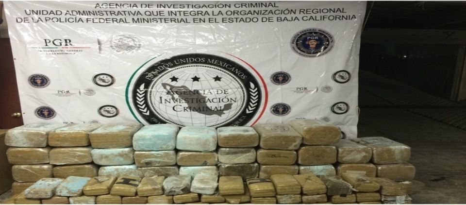 Casi media tonelada de mariguana decomisada en Tijuana Casi media tonelada de mariguana decomisada en Tijuana