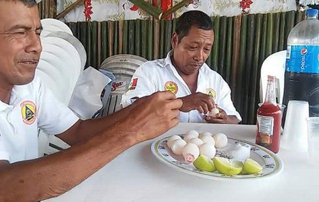 Funcionarios comen huevos de tortuga como platillo principal