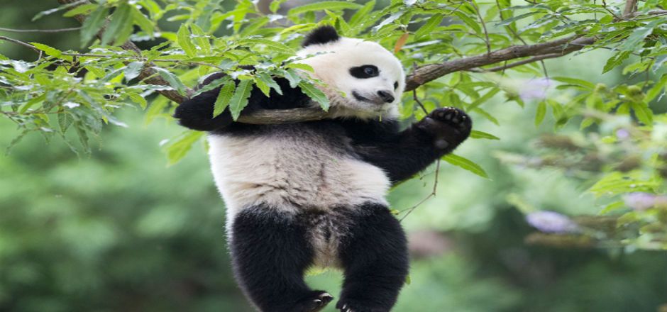 Las mejores fotografías de 2014 Las mejores fotografías de 2014