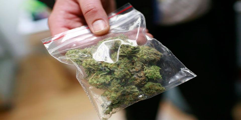 Aprueban uso de mariguana medicinal en Australia Aprueban uso de mariguana medicinal en Australia