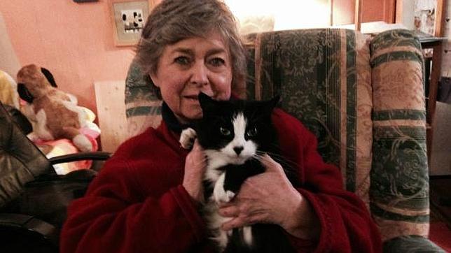 Gato cruza toda Francia para reecontrarse con su dueña